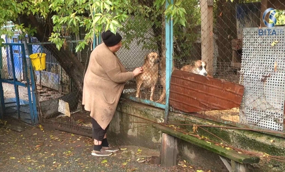  Як вінничани можуть допомогти притулку для собак Планета