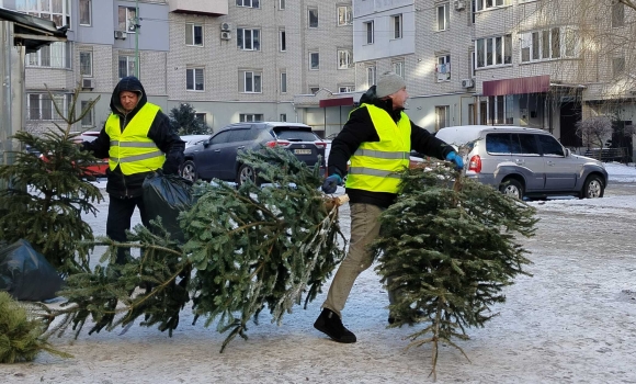 Як вінничани можуть утилізувати ялинки після новорічних свят