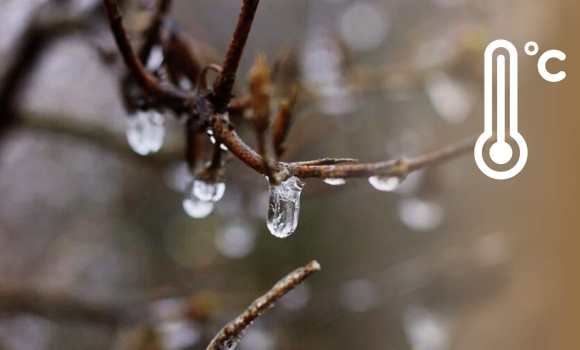 Якщо довіряти прогнозам погода в останній день зими на Вінниччині може здивувати