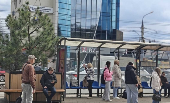 З Майдану Небесної Сотні до «Пироговки» чому у Вінниці перемістили вуличні кашпо з деревами