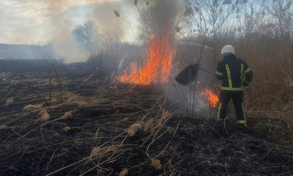 За добу, 23 березня, на Вінниччині сталося 12 пожеж в екосистемах