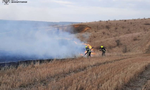 За добу, 6 березня, на Вінниччині сталося 13 пожеж в екосистемах