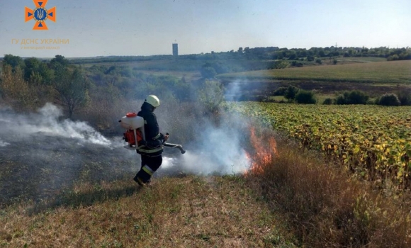 За добу на відкритих територіях Вінницької області сталося 19 загорянь