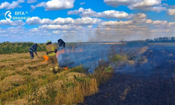 За добу на Вінниччині 15 разів горіла суха трава та стерня