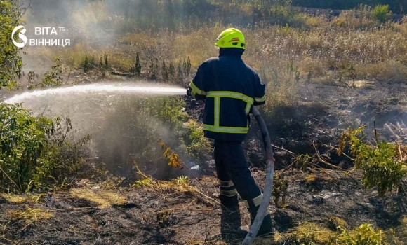 За добу на Вінниччині вогонь охопив понад 8 гектарів екосистем За добу на Вінниччині вогонь охопив понад 8 гектарів екосистем
