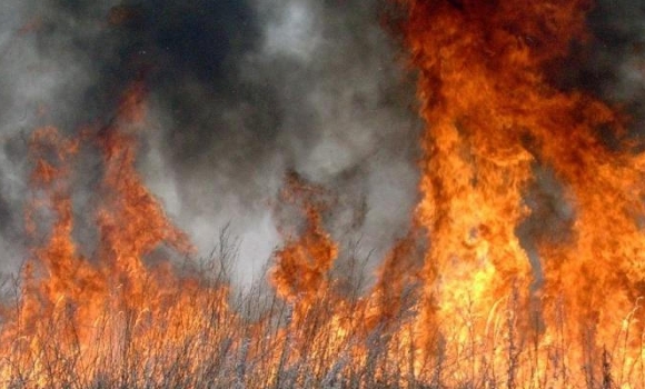 За добу рятувальники Вінниччини загасили 14 загорянь сухої рослинності