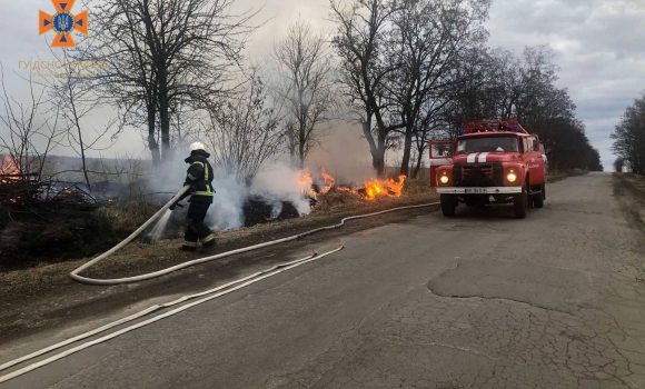 За добу рятувальники Вінниччини загасили десять пожеж в екосистемах