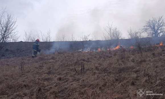 За добу рятувальники Вінниччини загасили дев'ять пожеж в екосистемах