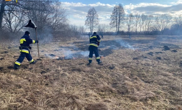 За добу у Вінницькій області сталося понад 20 пожеж в екосистемах