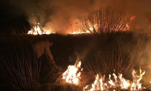 За добу у Вінницькій області сталося 12 пожеж в екосистемах