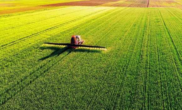 Заморозки проти врожаю чи встояли посіви на Вінниччині після квітневих погодних «гойдалок»