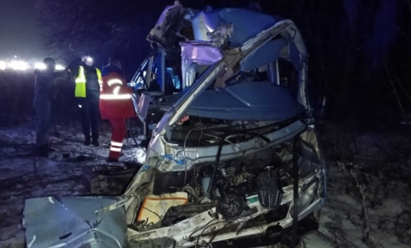 Затримали водія мікроавтобуса, який вчинив смертельну ДТП у Немирівській громаді