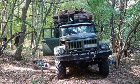 Збитків на 6,5 млн грн у природному парку на Вінниччині незаконно рубали дерева