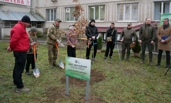 Зелена країна у Вінниці висадили мільярдне дерево Зелена країна у Вінниці висадили мільярдне дерево