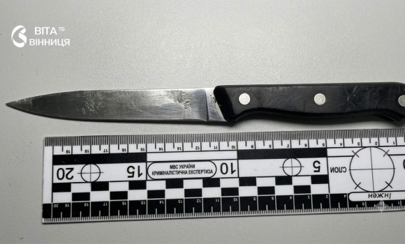 Жінка, яка вдарила ножем власну доньку, постане перед вінницьким судом Жінка, яка вдарила ножем власну доньку, постане перед вінницьким судом