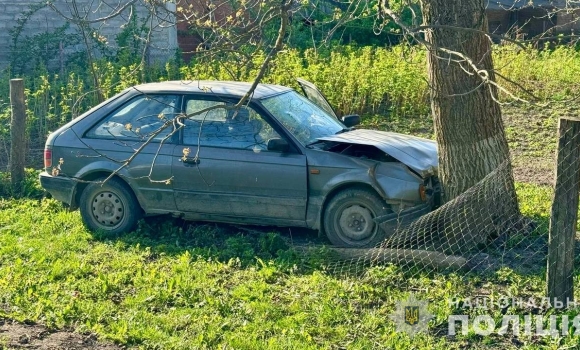 Житель Вінницького району викрав у товариша авто та врізався у ньому в дерево