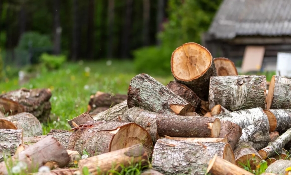 Жителям Вінниччини розповіли, як придбати деревину в держлісгоспах