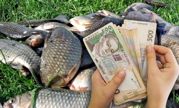 Житель Вінниччини сплатить майже 480 тис. грн за незаконно виловлену рибу