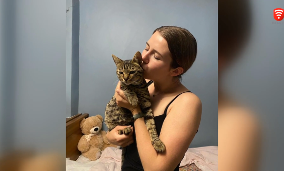 Зниклого турецького кота Чорапа прихистила родина із Зарванців