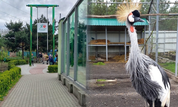 "Зоопарк - відкритий для дітей": понад 7 тисяч діток відвідали вінницький звіринець