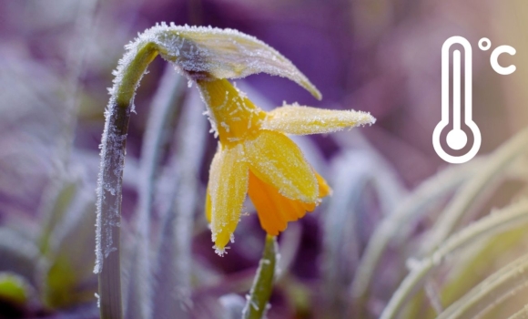 Зима повертається Синоптики дали тривожний прогноз для мешканців Вінниці та області