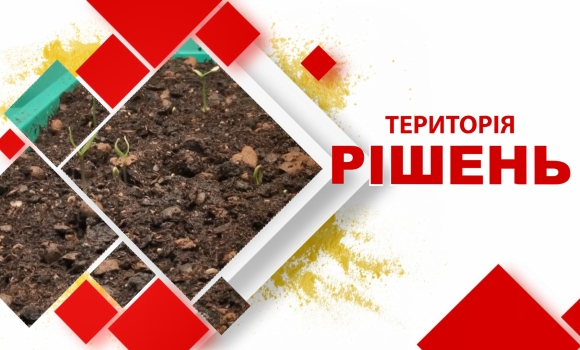 Територія рішень: Здорова і міцна розсада