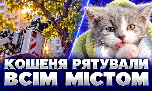Embedded thumbnail for Кілька діб кричало про допомогу! Тримісячне кошеня застрягло на дереві. Врятували з автовишки