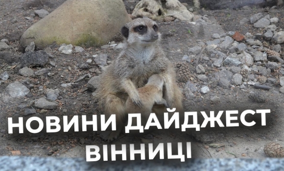 Embedded thumbnail for Дайджест новин Вінниці станом на 5 червня