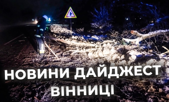 Embedded thumbnail for Дайджест новин Вінниці станом на 12 грудня