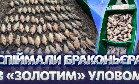 Embedded thumbnail for Збитків на 300 тисяч гривень: браконьєр сітками виловив 90 кг риби. У човні знайшли цінні екземпляри