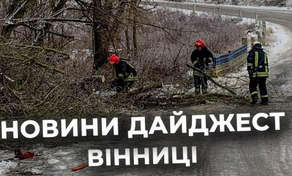 Embedded thumbnail for Дайджест новин Вінниці станом на 9 січня