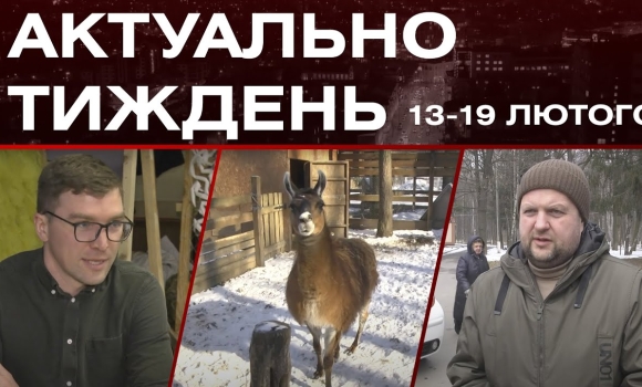 Embedded thumbnail for Притулок для тварин, &quot;Янголи свободи&quot; і автобуси Балаклії: актуальні новини за тиждень: 13-19 лютого