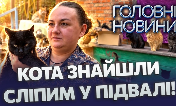 Embedded thumbnail for Цей кіт народився у тюрмі: волонтерка врятувала пів сотні тварин. Серед них — повністю сліпий кіт