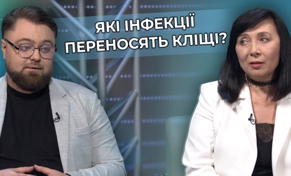 Embedded thumbnail for Небезпечні укуси кліщів: які інфекції передають, перші симптоми та як захиститись