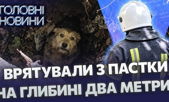 Embedded thumbnail for Собака провалився у старий колодязь: його гавкіт почула перехожа. ДСНС провела операцію порятунку