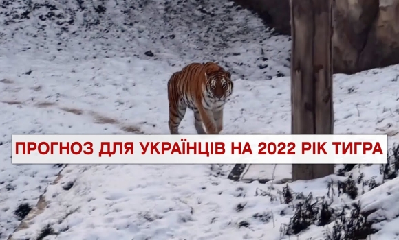 Embedded thumbnail for Важливо 2022-01-04 18:00