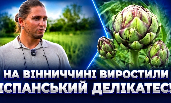 Embedded thumbnail for Екзотика замість пшениці: фермер змінив правила гри. Раніше це росло лише в Іспанії