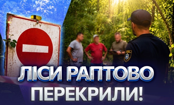 Embedded thumbnail for Шашликів більше не буде: охорона прочісує ліси в області. Шалені штрафи за розведення вогню