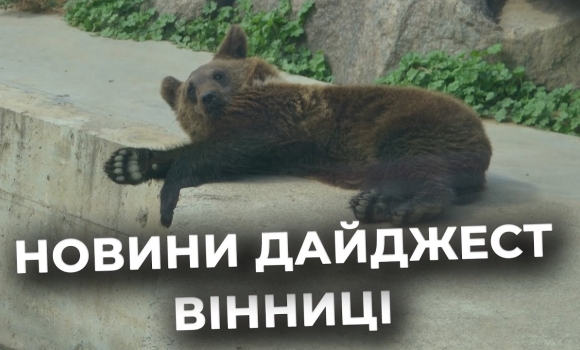 Embedded thumbnail for Дайджест новин Вінниці станом на 23 жовтня