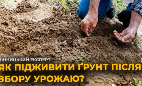Embedded thumbnail for Як оздоровити ґрунт після збору врожаю