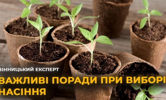 Embedded thumbnail for Як правильно вибрати насіння на розсаду, щоб отримати гарний урожай