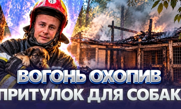 Embedded thumbnail for 35 собак опинилися посеред пожежі: дерев’яні навіси спалахнули. Одна тварина загинула