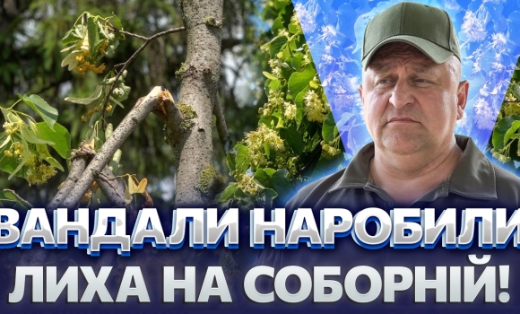 Embedded thumbnail for Варварство у центрі Вінниці! Дивіться, що знищили невідомі: тепер дерева можуть загинути
