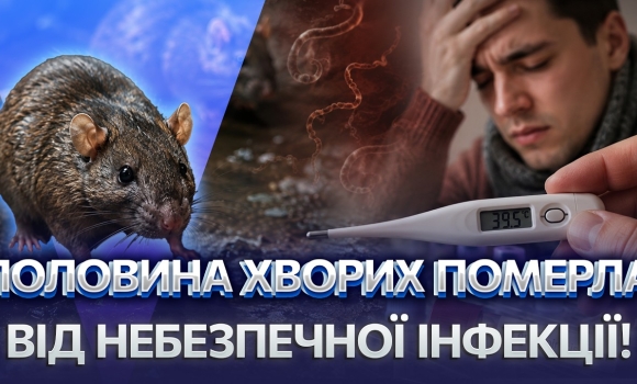 Embedded thumbnail for Смертельна хвороба на Вінниччині: зараження через гризунів та воду. Вже три жертви лептоспірозу