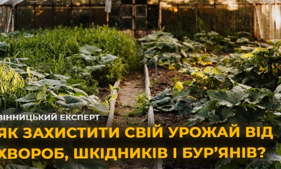 Embedded thumbnail for Як захистити врожай від шкідників? Ефективні препарати для збереження рослин