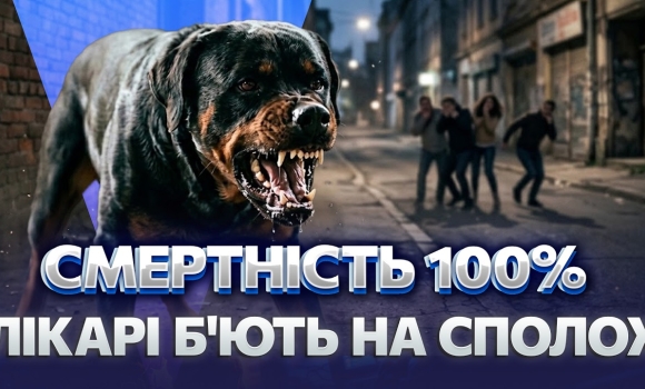 Embedded thumbnail for Трагедія через халатність: перша смерть від сказу на Вінниччині. Життя могли врятувати?