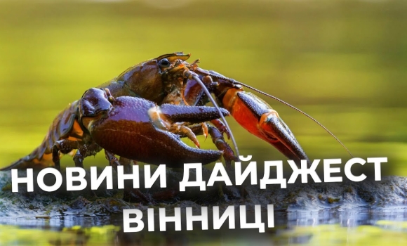 Embedded thumbnail for Дайджест новин Вінниці станом на 11 серпня