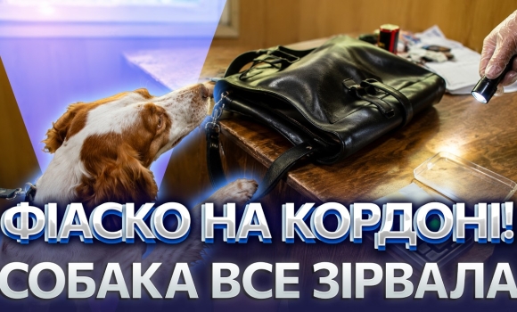 Embedded thumbnail for Іноземець погорів з портфелем контрабанди: собака Белла дещо занюхала. Замість пенсії — тюрма