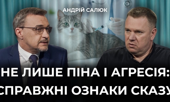 Embedded thumbnail for Сказ — смертельна небезпека! Хто є переносником вірусу та що робити після укусу тварини?