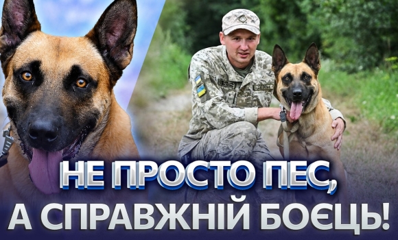 Embedded thumbnail for Кинув Європу, щоб захищати країну: пес Корд став надійним напарником! У порушників немає шансів